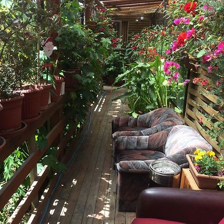 Hostal Mi Segundo Hogar Concepción Buitenkant foto