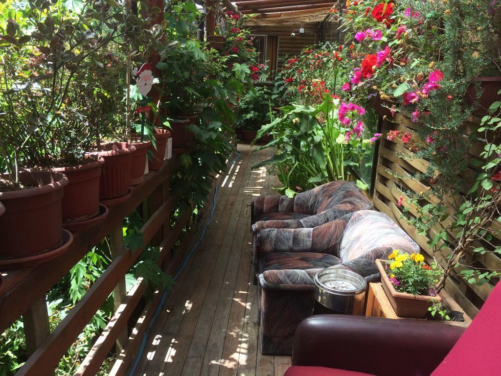 Hostal Mi Segundo Hogar Concepción Buitenkant foto